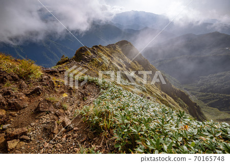 (Gunma Prefecture) The core of Tanigawadake Nishikuro Ridge 70165748
