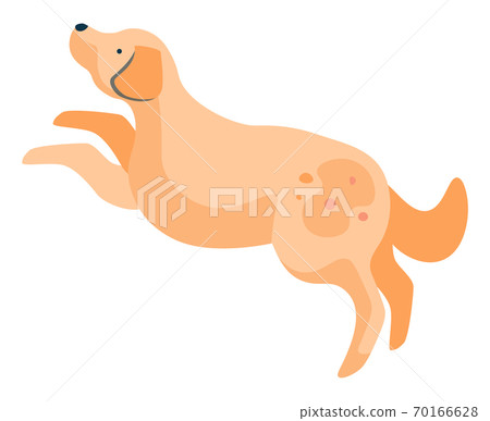 Jumping Dog, Puppy with Spot on Fur Funny Animal Jumping Dog, Puppy with Spot on Fur Funny Animal 70166628