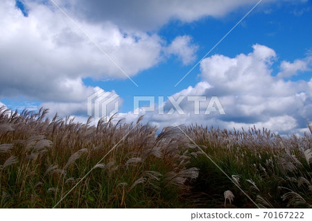 Raw stone plateau swaying pampas grass and autumn sky Raw stone plateau swaying pampas grass and autumn sky 70167222