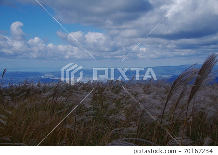 原石高原搖曳的蘇基和秋天的天空 原石高原搖曳的蘇基和秋天的天空 70167234