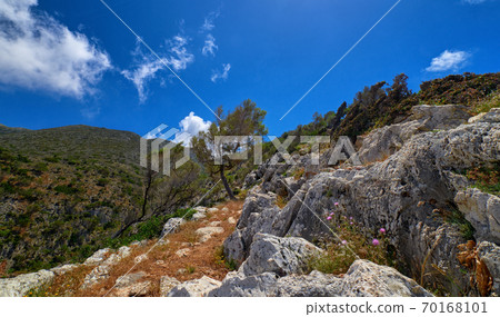 Typical Greek view, mountains, bushes, rocky slopes, wind-swept olive trees, blue sky, great clouds. Akrotiri peninsula, Chania region, Crete, Greece. Typical Greek view, mountains, bushes, rocky slopes, wind-swept olive trees, blue sky, great clouds. Akrotiri peninsula, Chania region, Crete, Greece. 70168101