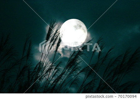 鈴木/月亮/秋天(夜景) 鈴木/月亮/秋天(夜景) 70170094