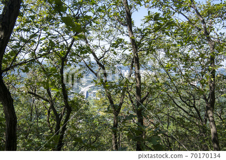 京畿道安山市蘇里山 京畿道安山市蘇里山 70170134