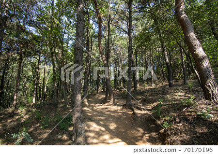 Surisan, Ansan City, Gyeonggi-do Surisan, Ansan City, Gyeonggi-do 70170196