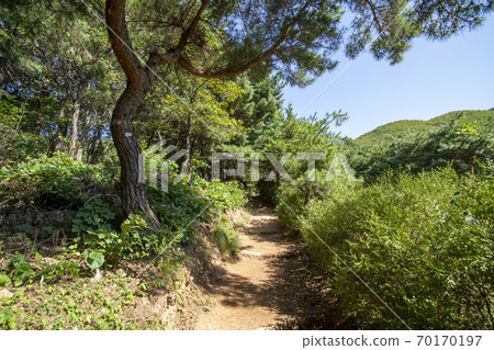 Surisan, Ansan City, Gyeonggi-do 70170197