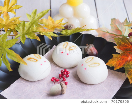 賞月兔文殊 賞月兔文殊 70170806