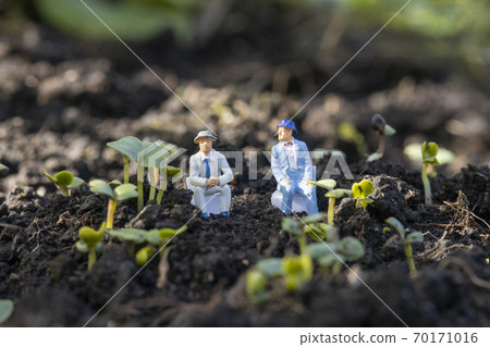 Japanese mustard spinach sprout and businessmen Japanese mustard spinach sprout and businessmen 70171016