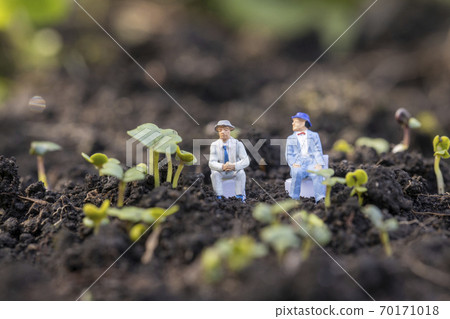 Japanese mustard spinach sprout and businessmen Japanese mustard spinach sprout and businessmen 70171018