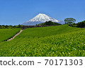 Fuji and fresh green tea fields 70171303