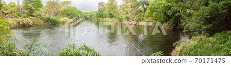 Mzima Springs, landscape of Kenya Mzima Springs, landscape of Kenya 70171475