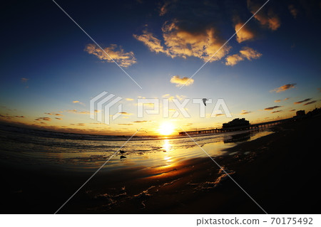 代托納海灘上的朝陽和海鷗 代托納海灘上的朝陽和海鷗 70175492