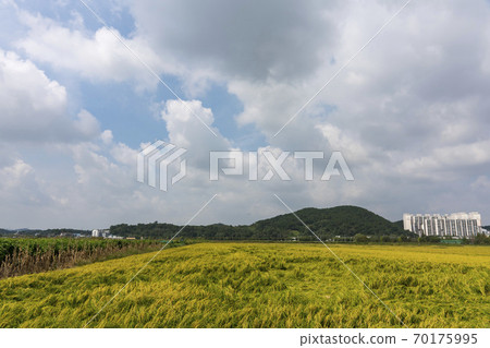 Hojobeol, Siheung-si, Gyeonggi-do Hojobeol, Siheung-si, Gyeonggi-do 70175995