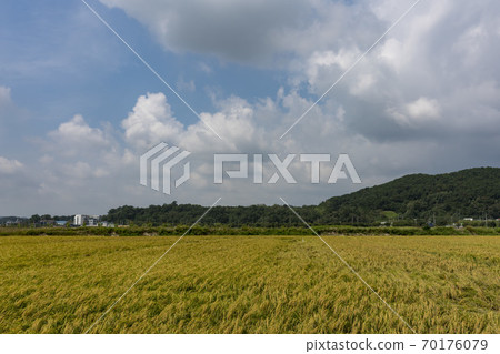 Hojobeol, Siheung-si, Gyeonggi-do Hojobeol, Siheung-si, Gyeonggi-do 70176079