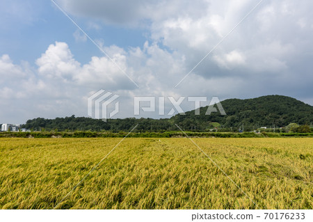 京畿道始興市厚木 京畿道始興市厚木 70176233