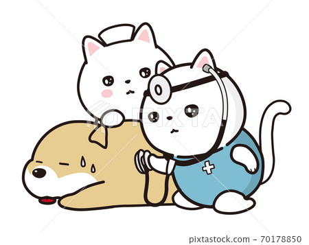 A sick Shiba Inu with a veterinarian (cat) who sees a veterinary clinic 70178850