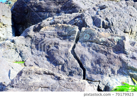Reef Promenade [Muroto Global Geopark] 70179923