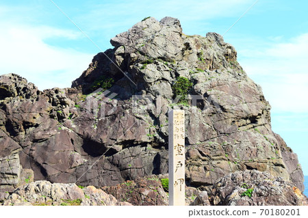 Bishagoiwa [Muroto Global Geopark] 70180201