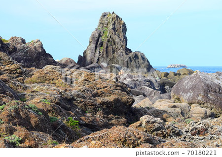 Bishago Rock [Muroto世界地質公園] 70180221
