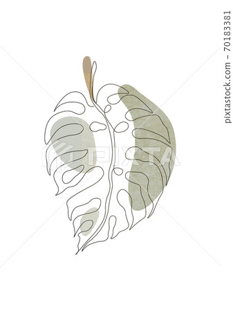 Exotic monstera continuous one line drawing summer tropical leaf hand drawn on white background minimalist design Exotic monstera continuous one line drawing summer tropical leaf hand drawn on white background minimalist design 70183381