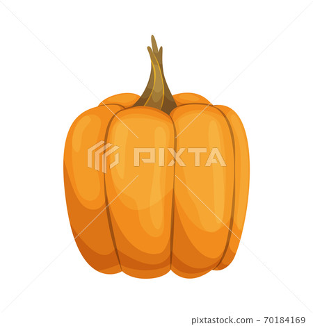 Cartoon pumpkin icon. Orange and yellow autumn pumpkin. Large gourd vegetable. Farm harvest vegetable fresh and tasty Cartoon pumpkin icon. Orange and yellow autumn pumpkin. Large gourd vegetable. Farm harvest vegetable fresh and tasty 70184169