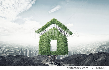 Real estate investments 70186688