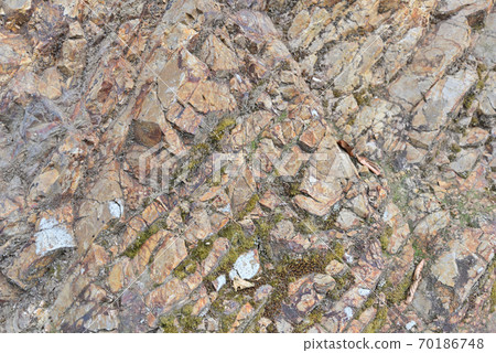 在群馬縣的神社中可以清楚看到岩層的岩石表面 70186748