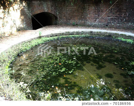 Tomogashima 70186936