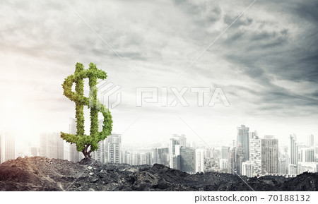 Right investment for getting income 70188132