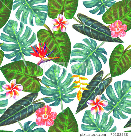 Watercolor abstract summer seamless pattern with tropical exotic plants Watercolor abstract summer seamless pattern with tropical exotic plants 70188388