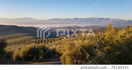 Andalusia landscapes. Fog in rural and agricultural Andalusia landscapes. Fog in rural and agricultural 70189141
