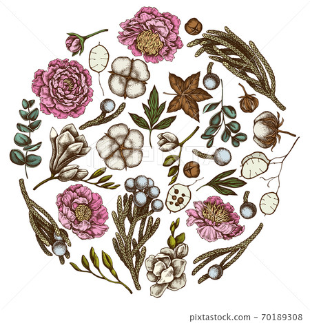 Round floral design with colored ficus, eucalyptus, peony, cotton, freesia, brunia 70189308
