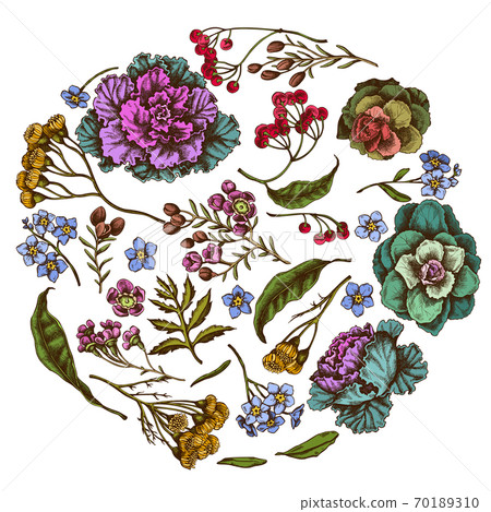 Round floral design with colored wax flower, forget me not flower, tansy, ardisia, brassica 70189310