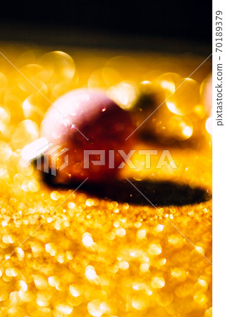 Christmas composition with golden decoration Christmas composition with golden decoration 70189379