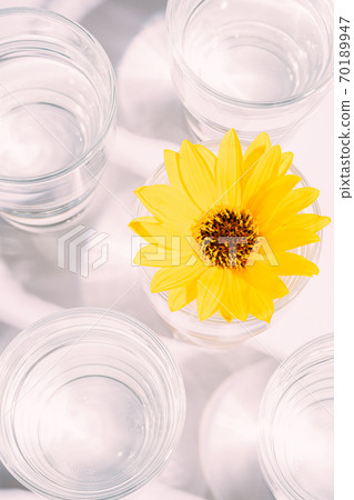 Fresh clear water drink with yellow flower in glass on white background, hard light creative composition, top view 70189947