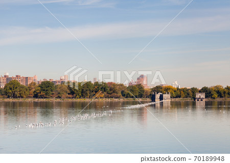 Jackie Onassis Reservoir.  The view across the Jackie Onassis Reservoir in Central Park, New York City on a still autumn morning. 70189948