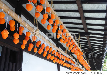 Roll persimmon 70190420