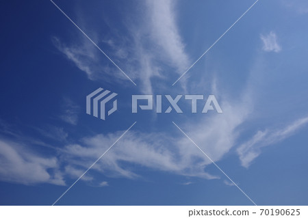 烏云密布，鳥兒似乎在飛舞，尾羽飄動 70190625