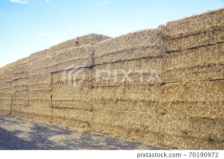 wall of pressed straw against the sky 70190972