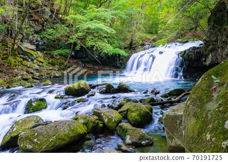Tateshina Otaki and mountain stream 70191725