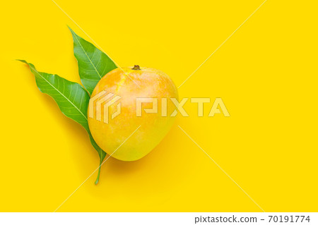 Tropical fruit, Mango on yellow background. Tropical fruit, Mango on yellow background. 70191774