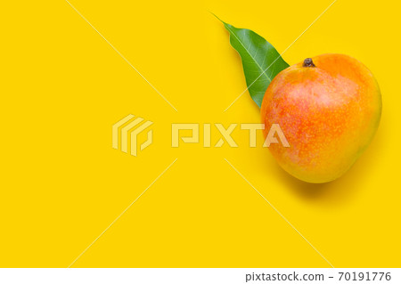 Tropical fruit, Mango on yellow background. Tropical fruit, Mango on yellow background. 70191776