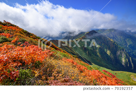 (Gunma Prefecture) Autumn leaves and main vein ridgeline of Mt. Tanigawa 70192357