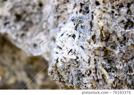 Reef Promenade [Muroto Global Geopark] 70193378