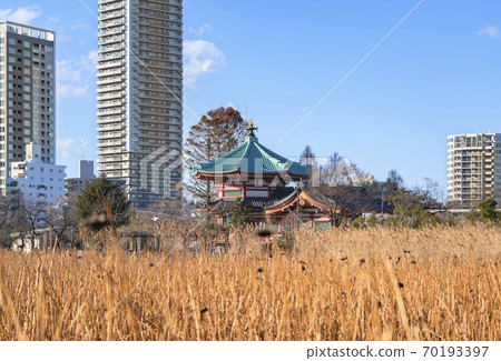 [Tokyo, Ueno] An octagonal Benten temple that enshrines the Bensaiten of the Seven Lucky Gods standing in the middle of the weeping willow of Kanei-ji Temple and the Shinobazu Pond of withered lotus. 70193397