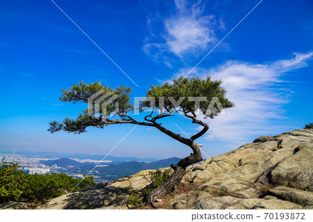 韓國京畿道果川市中央洞Gwanaksan全景 70193872