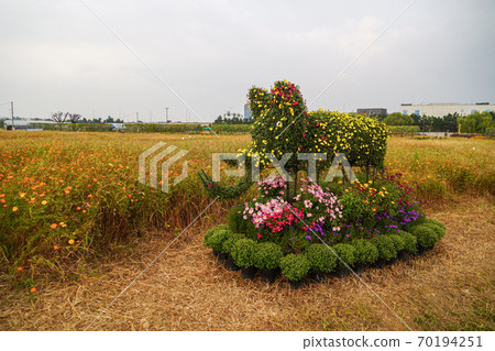 韓國仁川市桂陽區瑞雲洞桂陽花丸公園 70194251