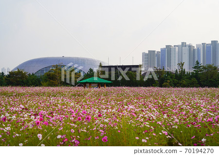 韓國仁川市桂陽區瑞雲洞桂陽花丸公園 韓國仁川市桂陽區瑞雲洞桂陽花丸公園 70194270