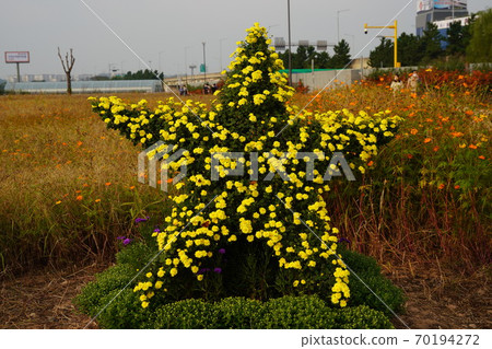 韓國仁川市桂陽區瑞雲洞桂陽花丸公園 韓國仁川市桂陽區瑞雲洞桂陽花丸公園 70194272