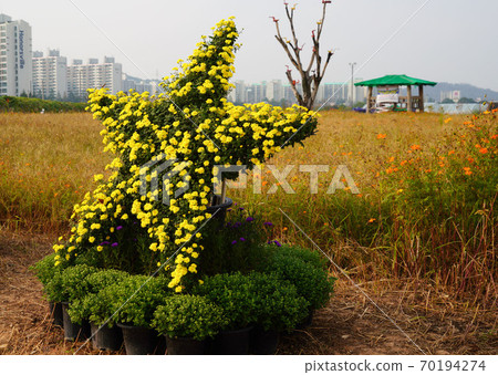韓國仁川市桂陽區瑞雲洞桂陽花丸公園 韓國仁川市桂陽區瑞雲洞桂陽花丸公園 70194274