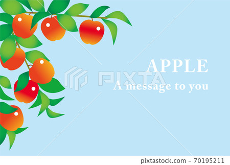 Apple card 70195211